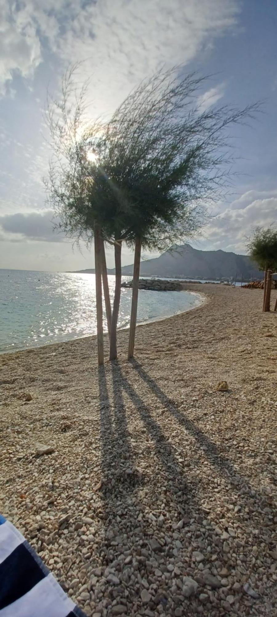 Lägenhet Nevena Omiš